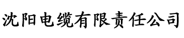 大团结全文无删减目录电缆厂logo